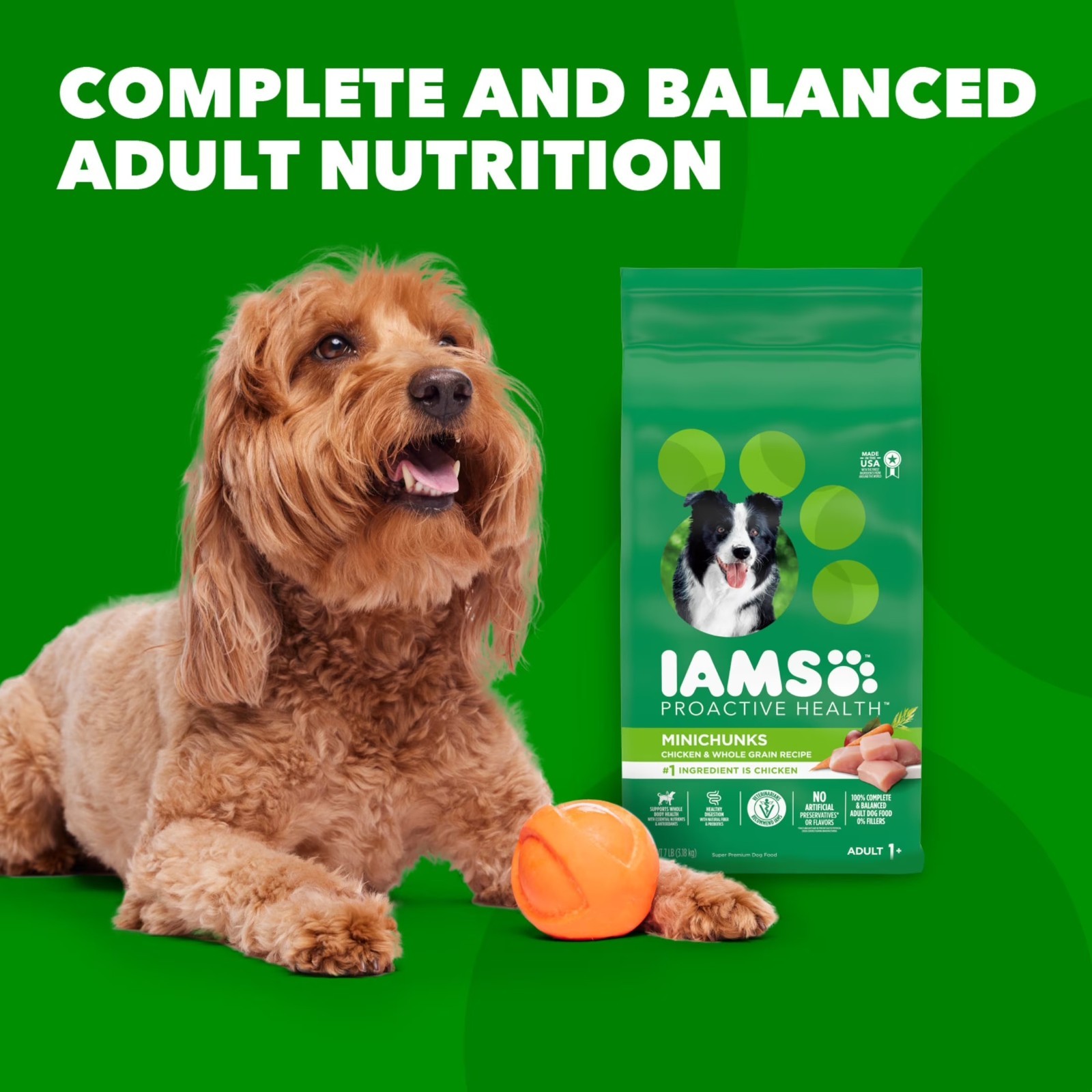 Iams Proactive Health Minichunk Dry Dog Food Real Chicken Whole Grains,30 lb Bag