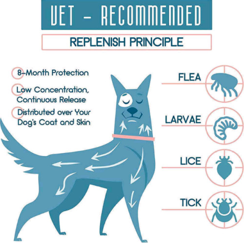 Seresto Flea & Tick Collar LARGE DOGS 18 lbs – 8 Month Protection