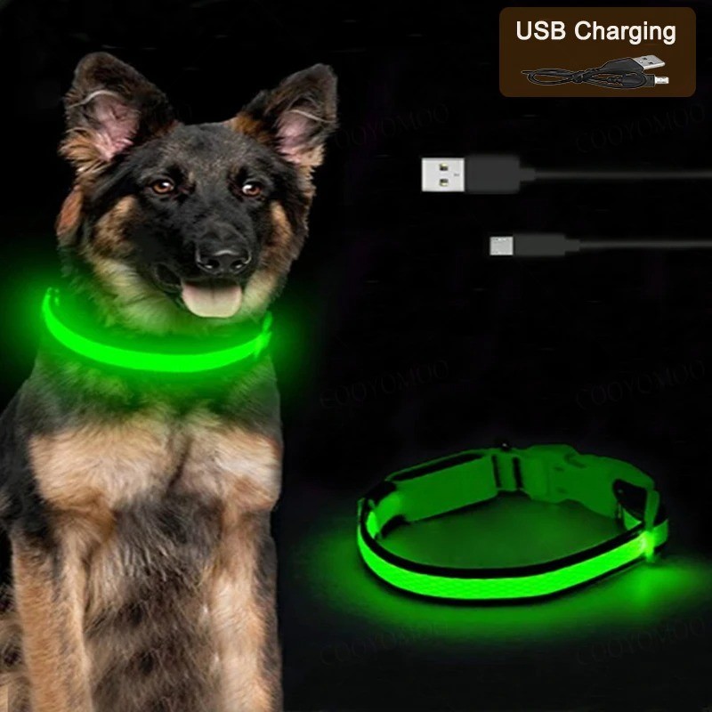 RECHARGEABLE LED PET GLOW COLLAR night safety adjustable flash light-up FOR dog