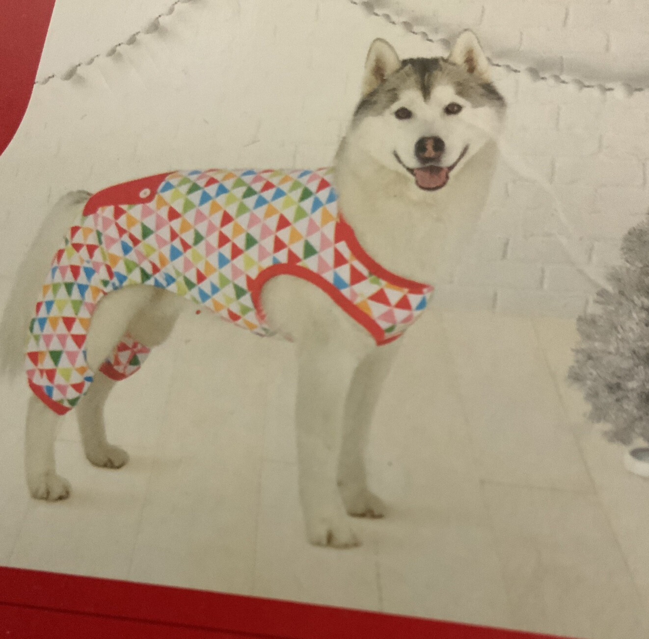 🧷 Wondershop pet pajamas multicolor Large 🆕 As Shown
