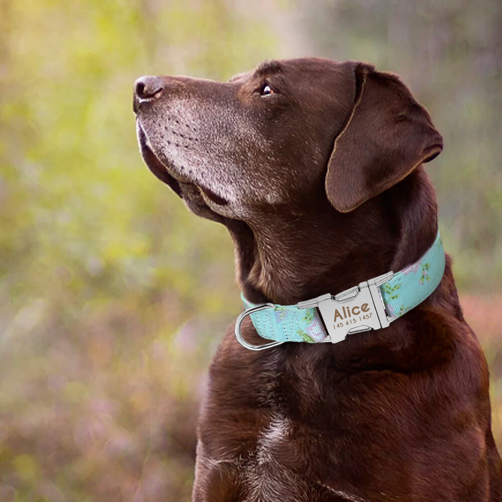 Nylon Cotton Personalized Dog Collar Pet Nameplate Custom Engrave ID Collar Tag
