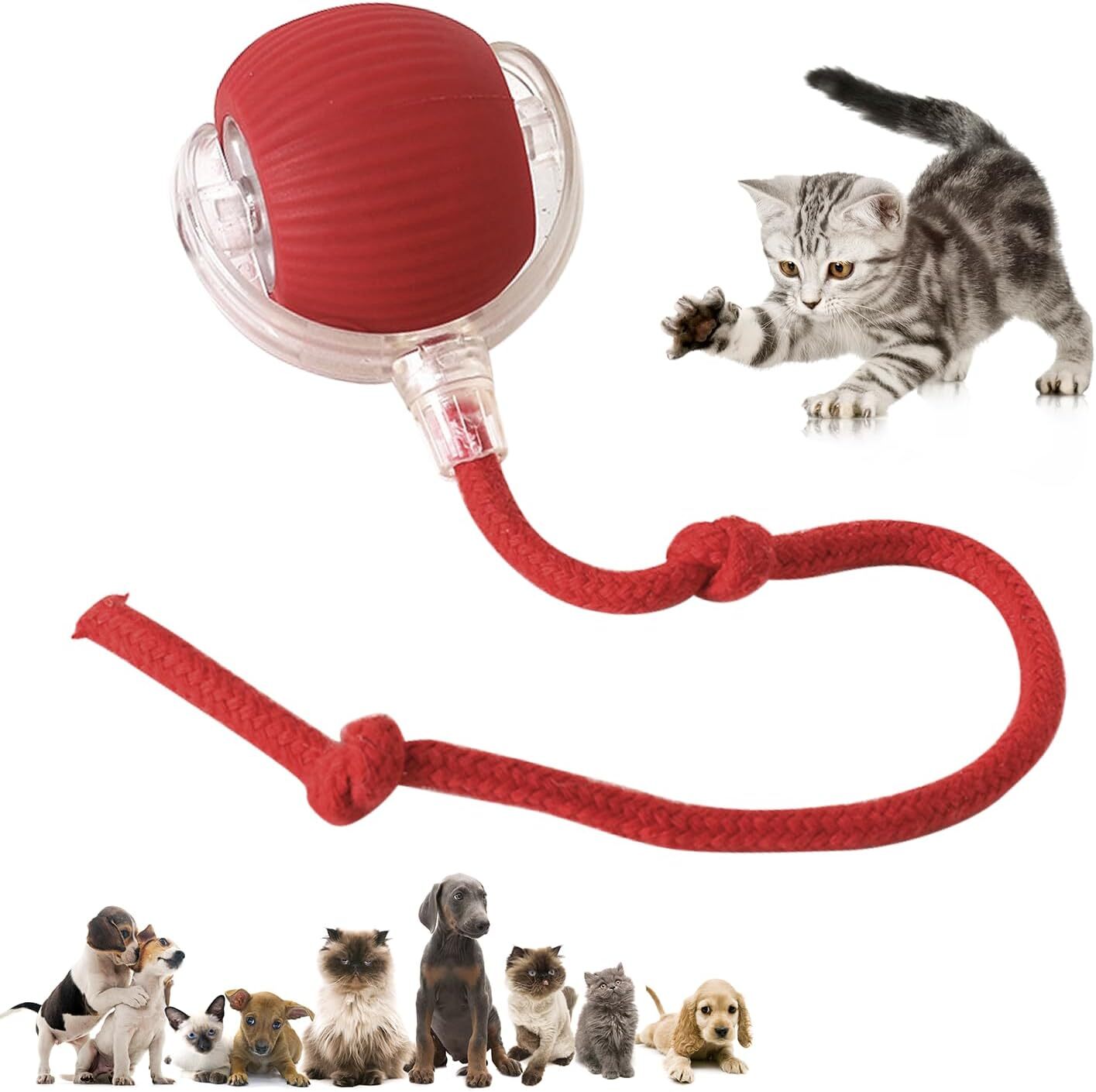2025 New Pet Glove Cat Grooming Gloves Cat Hair Remover Pet Dog Hair Remover HOT