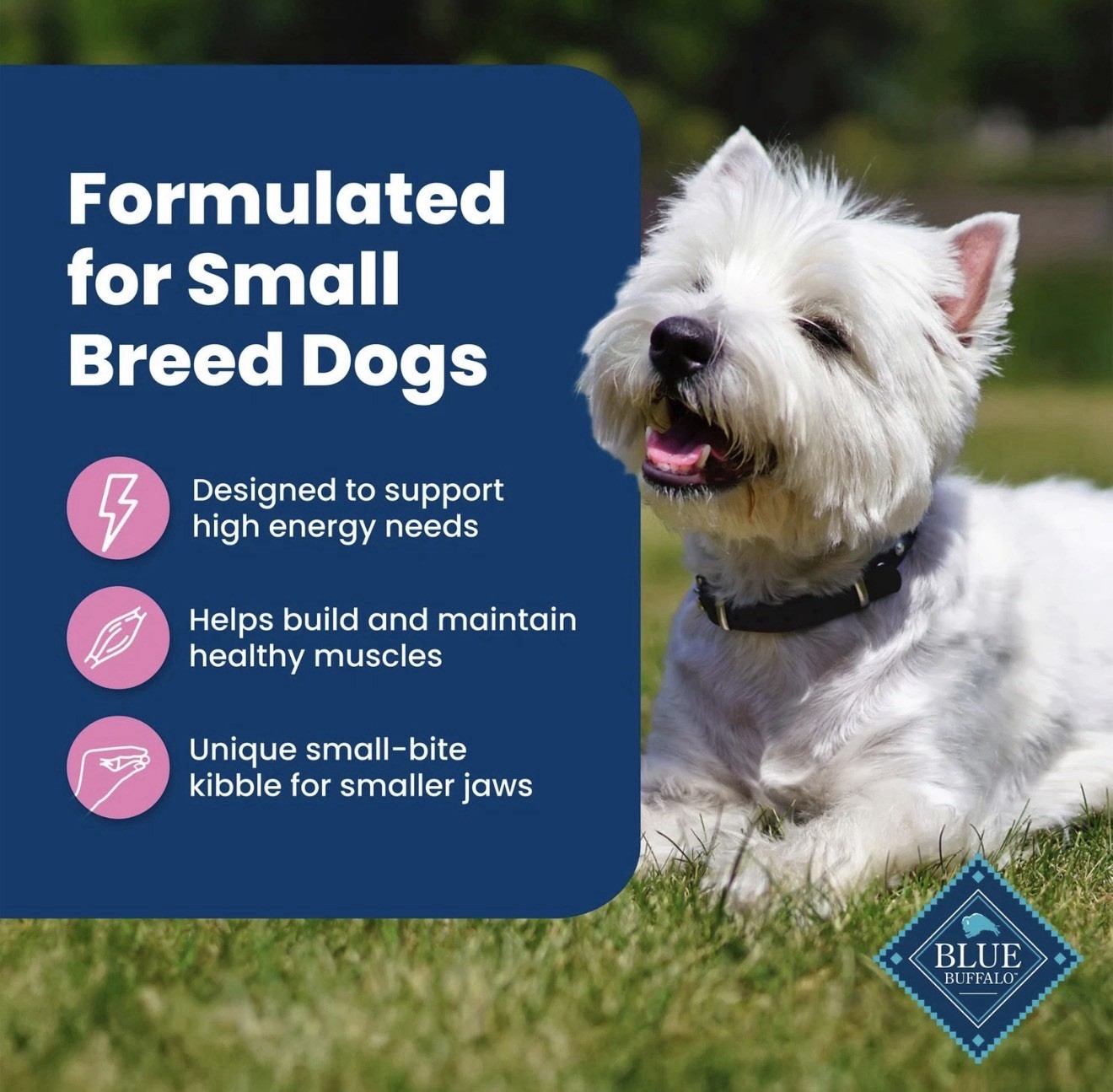 Blue Buffalo Life Protection Formula Adult Small Breed Dry Dog Food, Supports