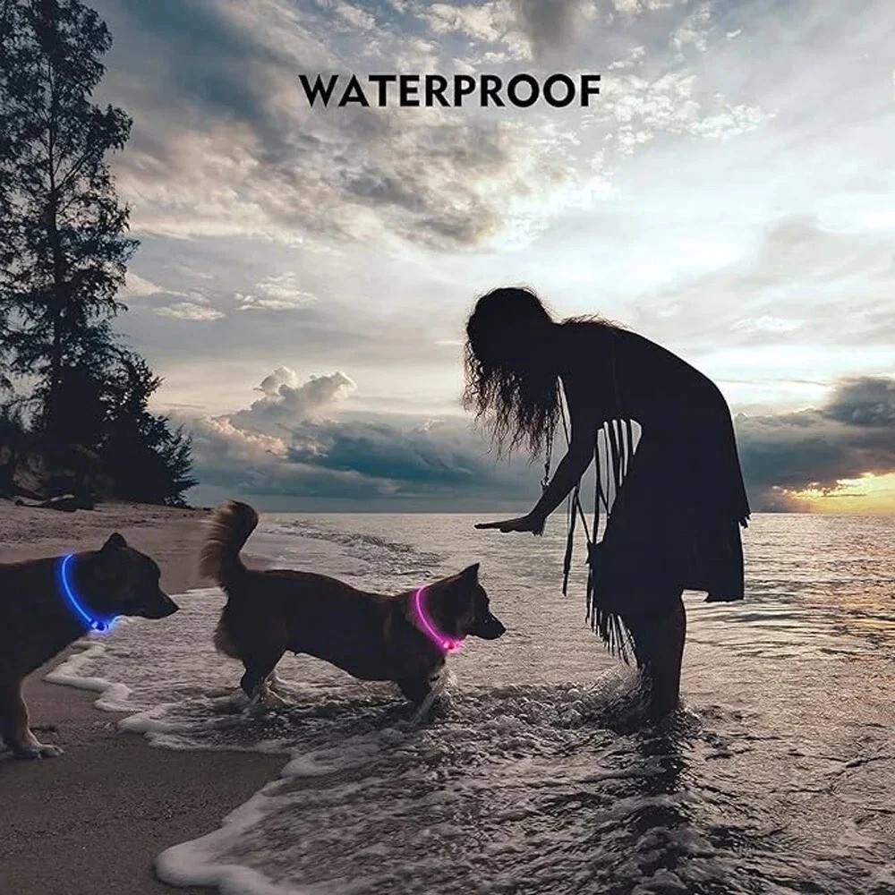 RECHARGEABLE LED Light-up Flash GLOW COLLAR Dog Pet Safety MICRO USB adjustable