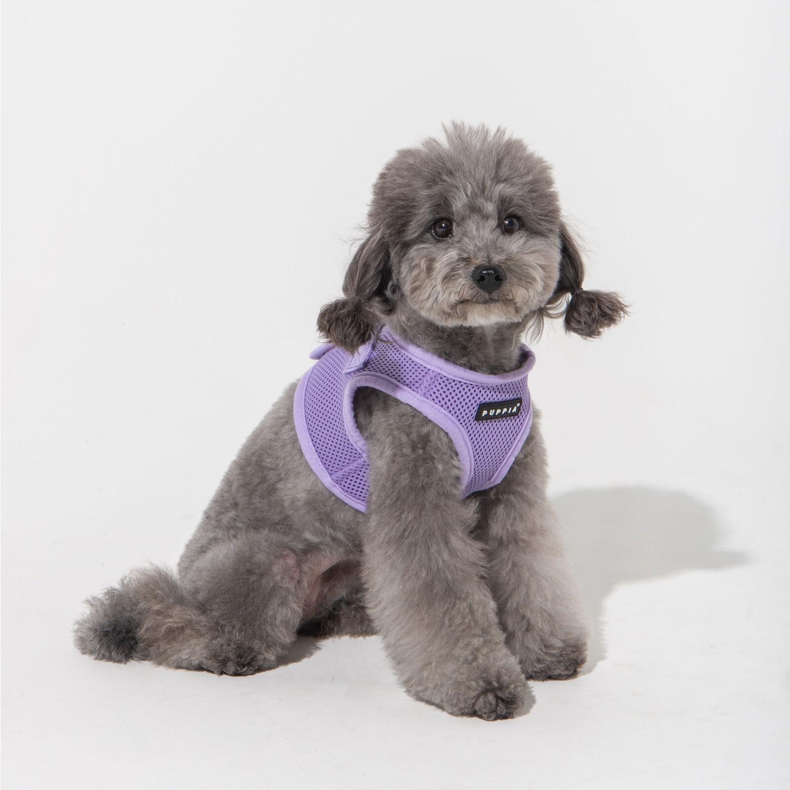 Puppia Soft Vest Step-In Harness for Small / Medium size dogs