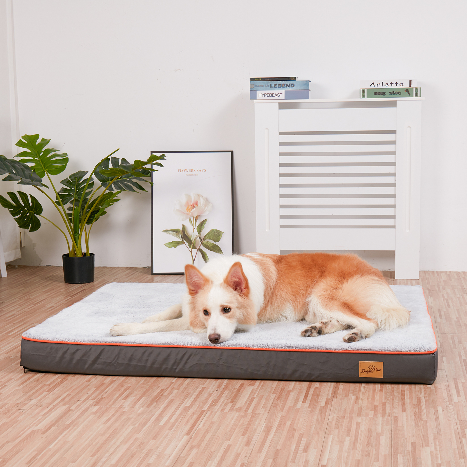 All Size S-XXXL Waterproof Orthopedic Dog Bed Solid Foam Pet Crate Bed Zip Cover