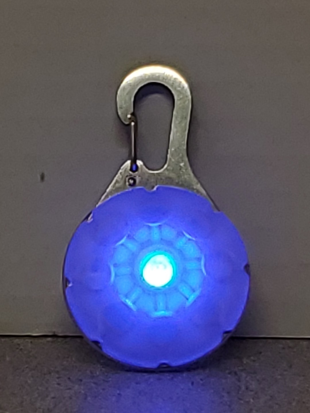 LED Dog Collar Light Clip On for Pet Safety