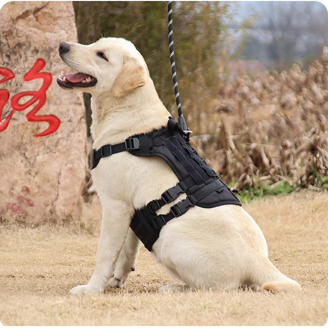 Military Tactical Dog Harness No-pull Heavy Duty MOLLE Training Service Dog Vest