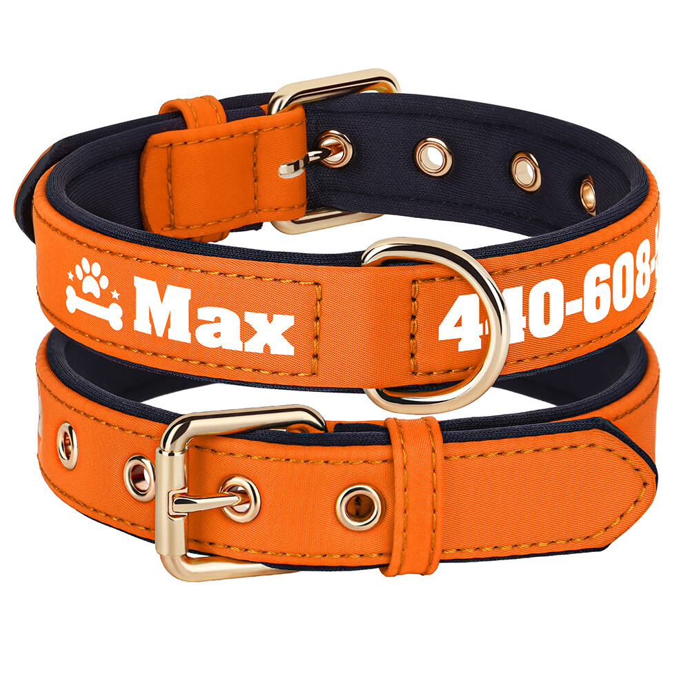 Personalized Nylon Dog Collar Custom Name Phone Print Soft Padded Adjustable S-L