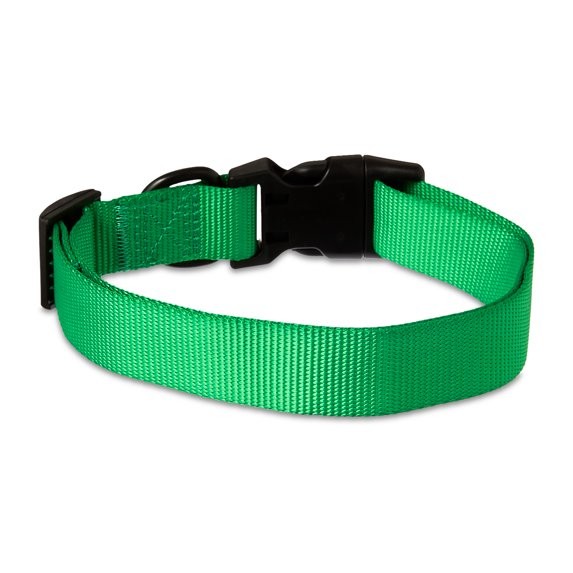 Vibrant Life Polyester Adjustable Dog Collar, Green, S