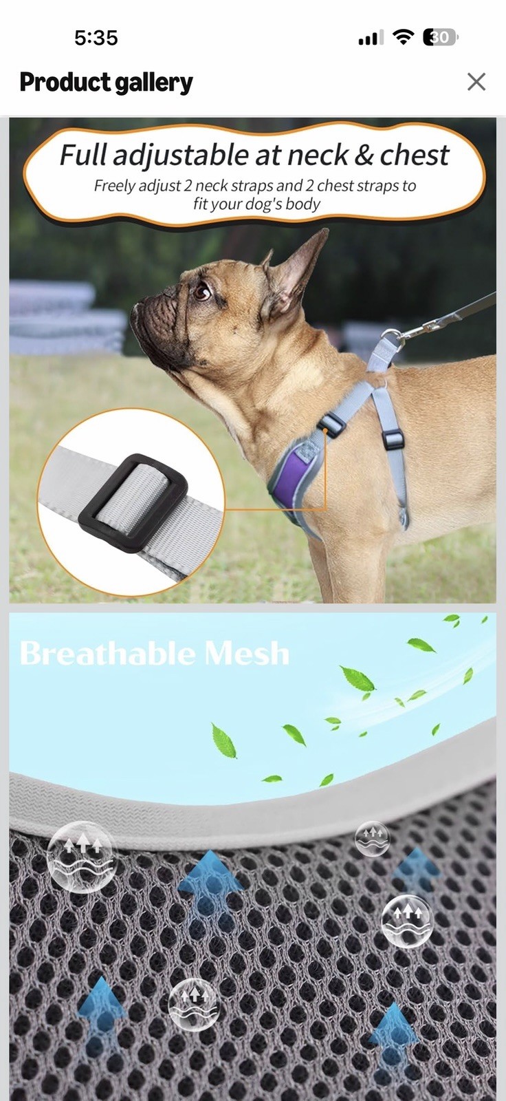 Xtra Small Purple Reflective Dog Harness With Matching 6 Ft Leash