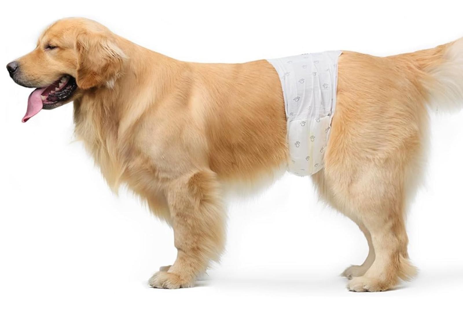 Male Dog Wraps, Disposable – Xtra -Small Pack of 30 count