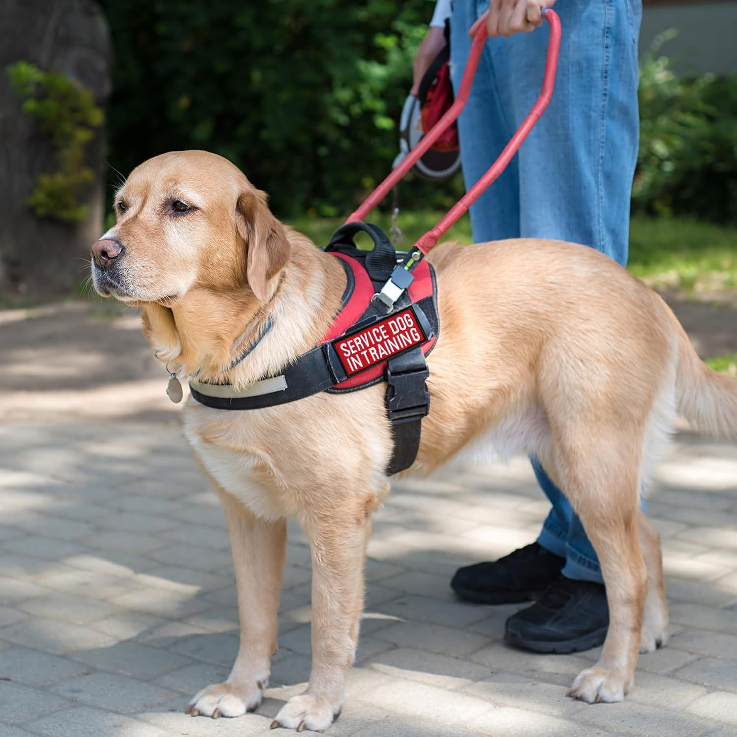 12 Pieces Removable Tactical Dog Harness Service Dog Vest Patches Do Not Pet in