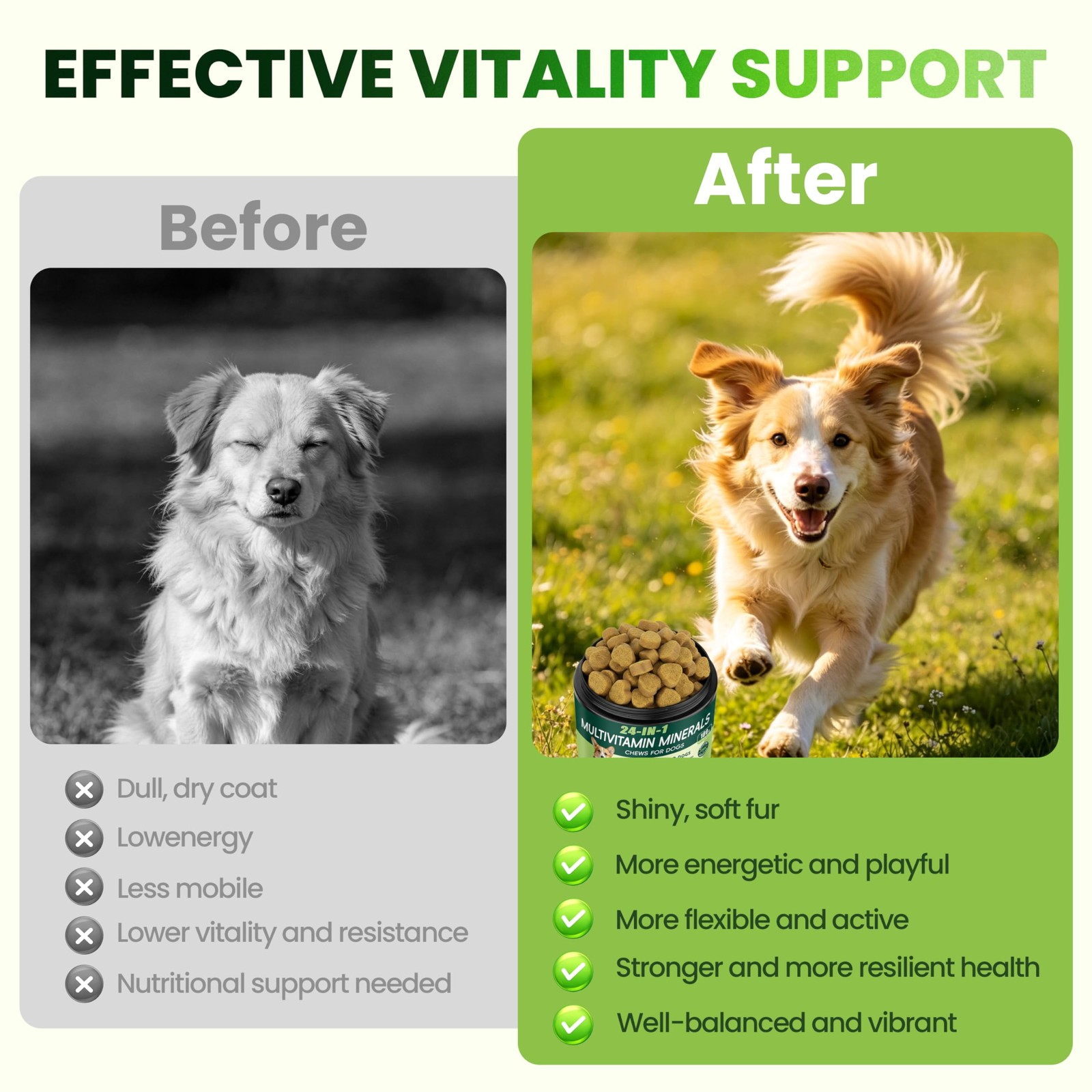 24-in-1 Dog Vitamins and Supplements, Multivitamin Chewable for 90 Chews