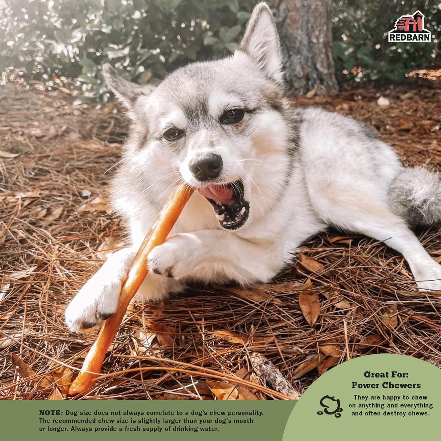 Redbarn Pet Products All-Natural Large 12″ Beef Collagen Sticks for Dogs