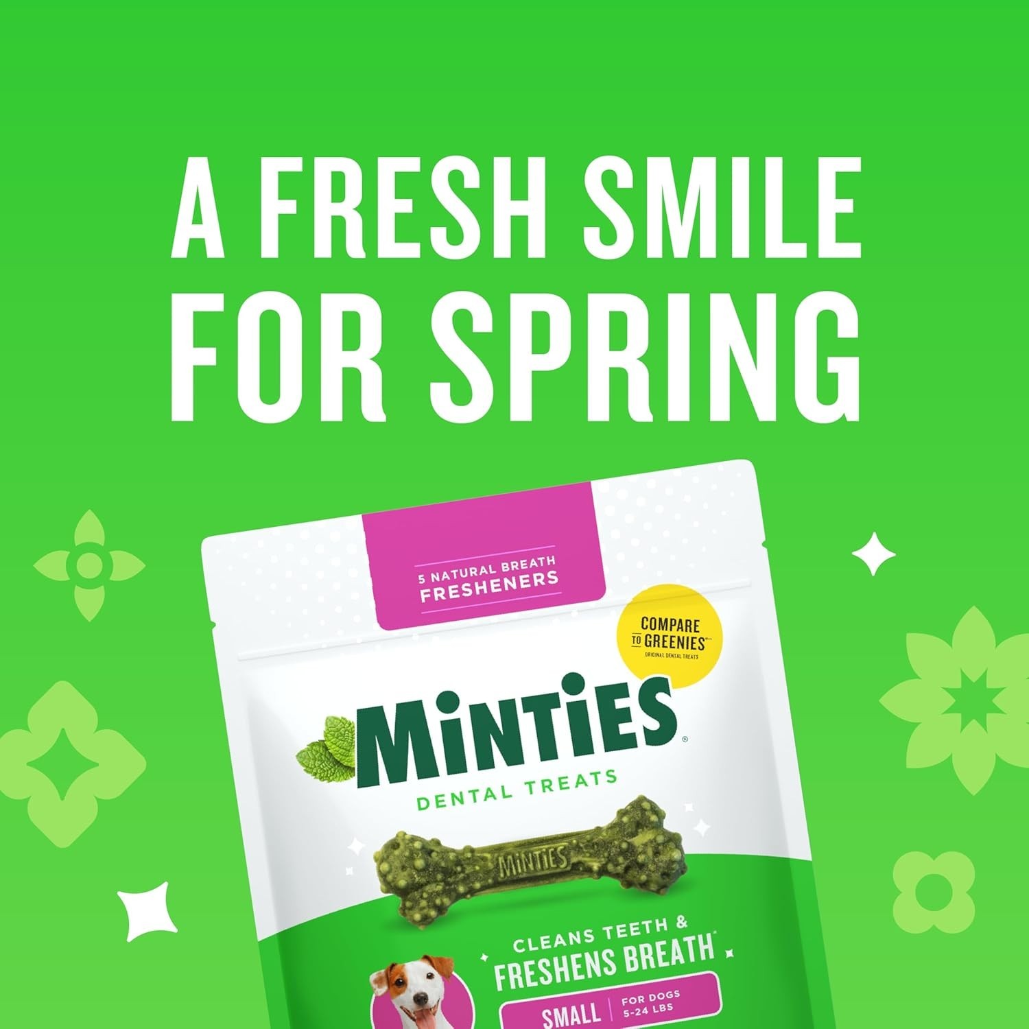 Vet Recommended Dog Dental Bones – Fresh Mint Flavor, 40 Chews for Small Dogs