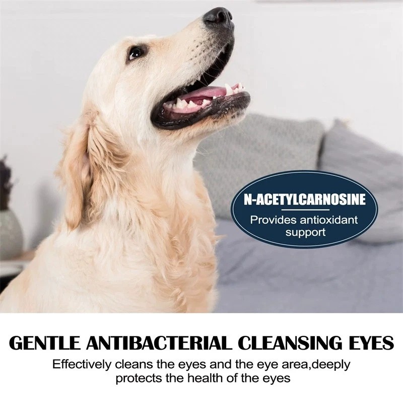 Eye Drops for Pets Bacterial,Viral and Fungal & Infections Dog Cat Treatment US