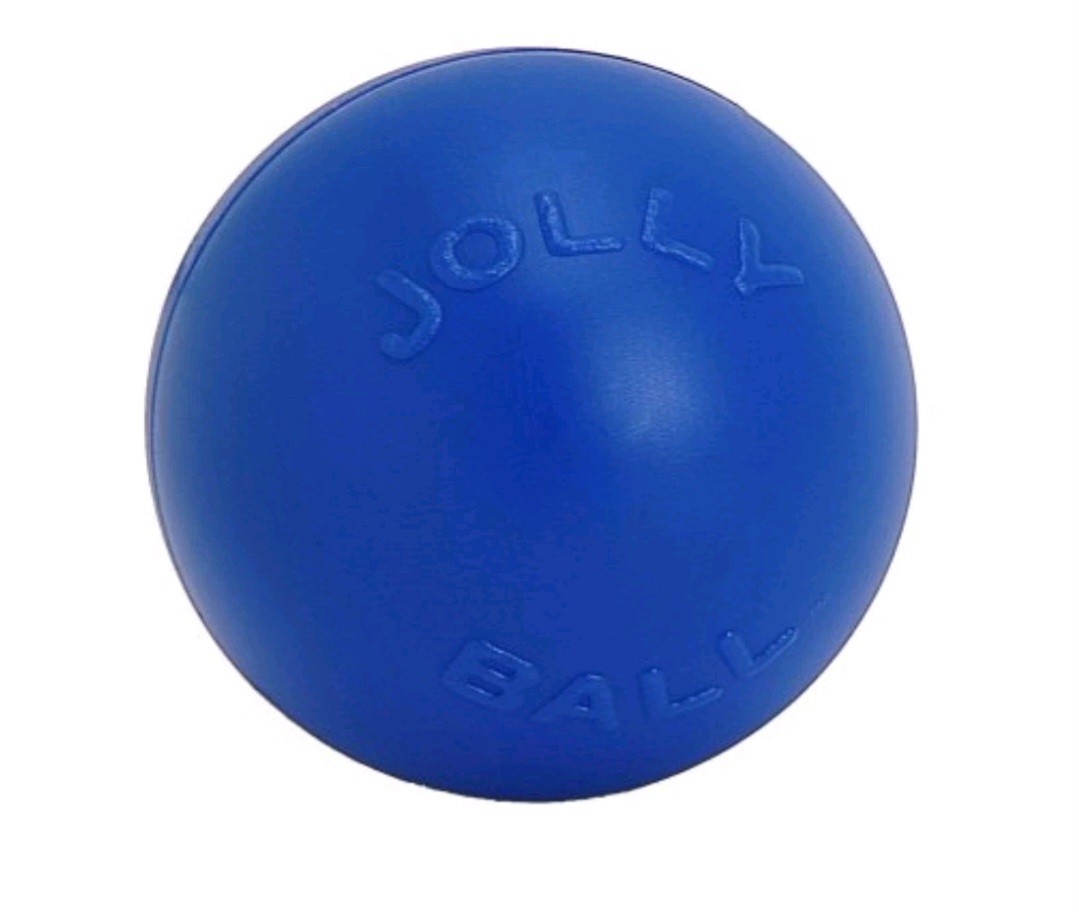 NEW Jolly Pets Push-N-Play Ball Blue 6 inch Hard Plastic Toy for Dogs