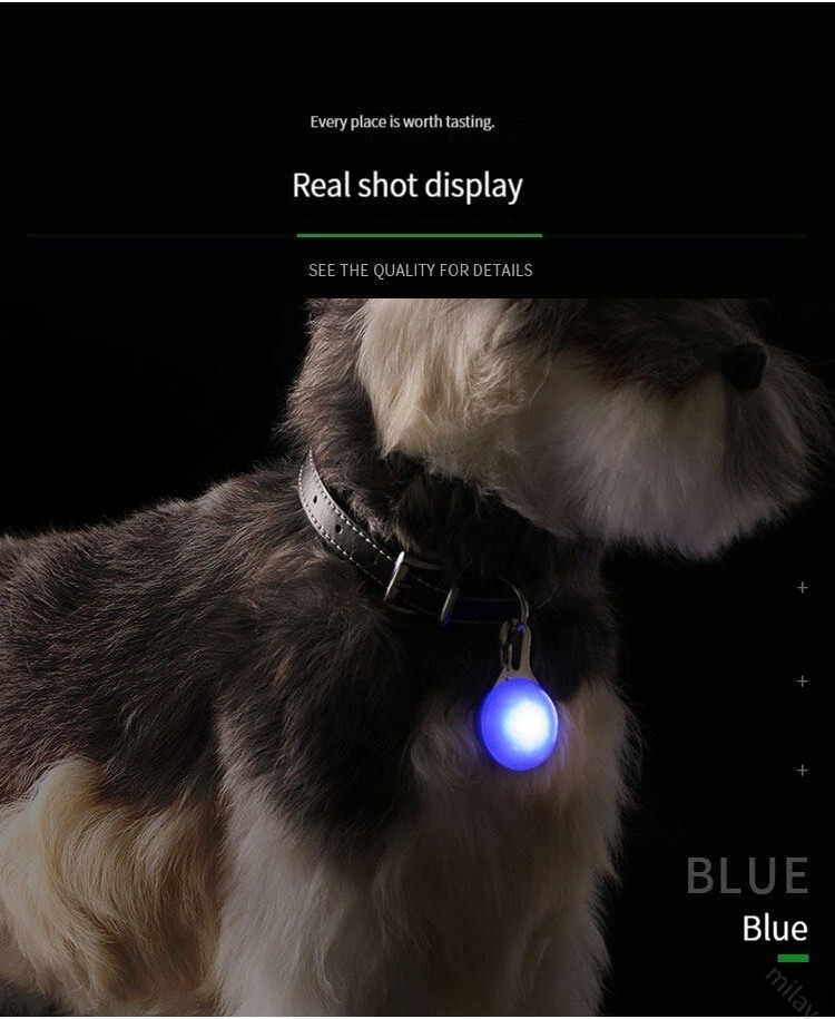 1pcs Pet Collar Pendant LED dog collar Night light pendant security luminous