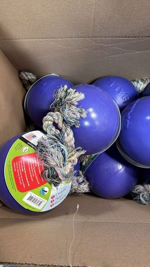 Jolly Pets Romp N Roll 8” Purple Dog Toy