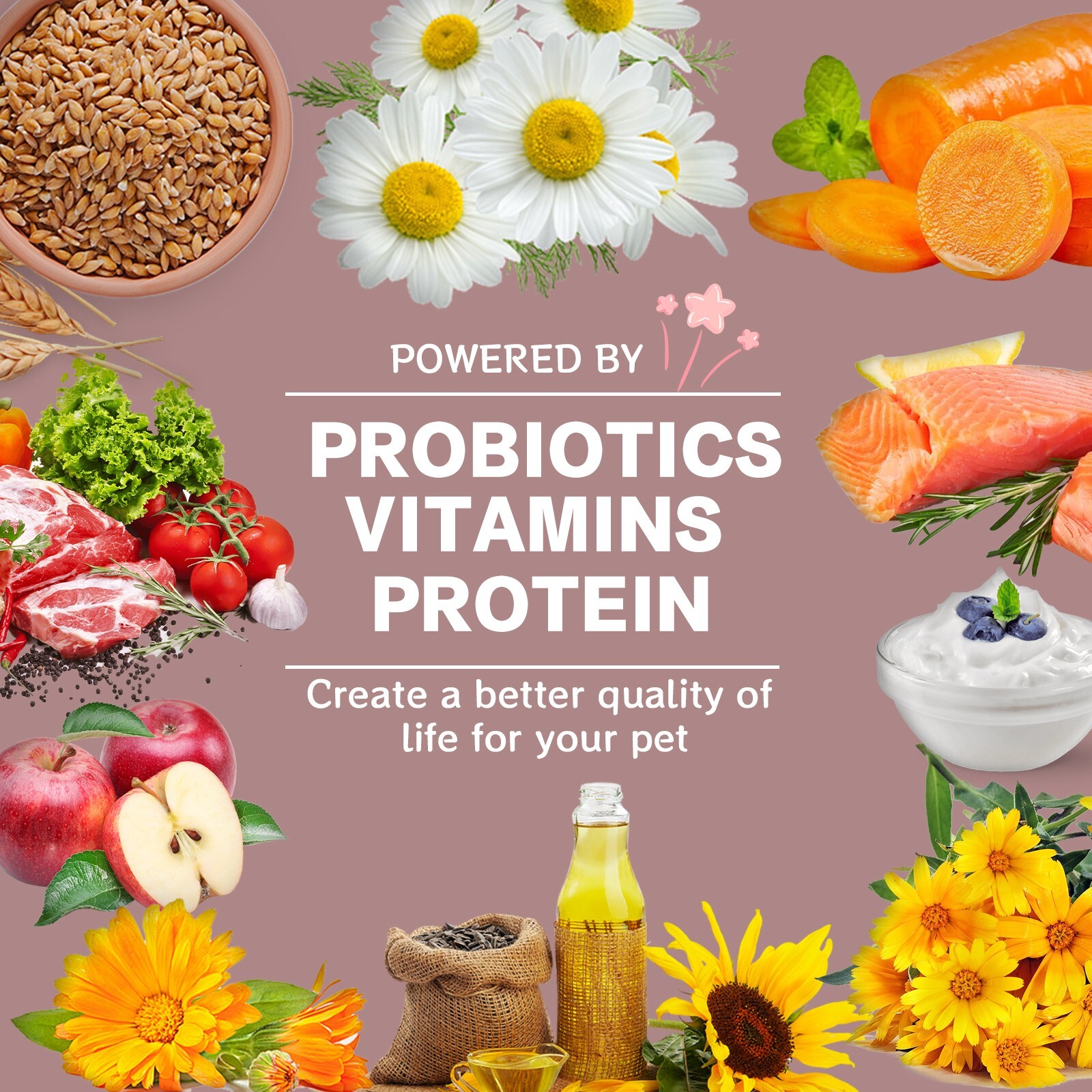 High Calorie Nutritional Gel for Cats and Dogs with Vitamin D for All Breeds