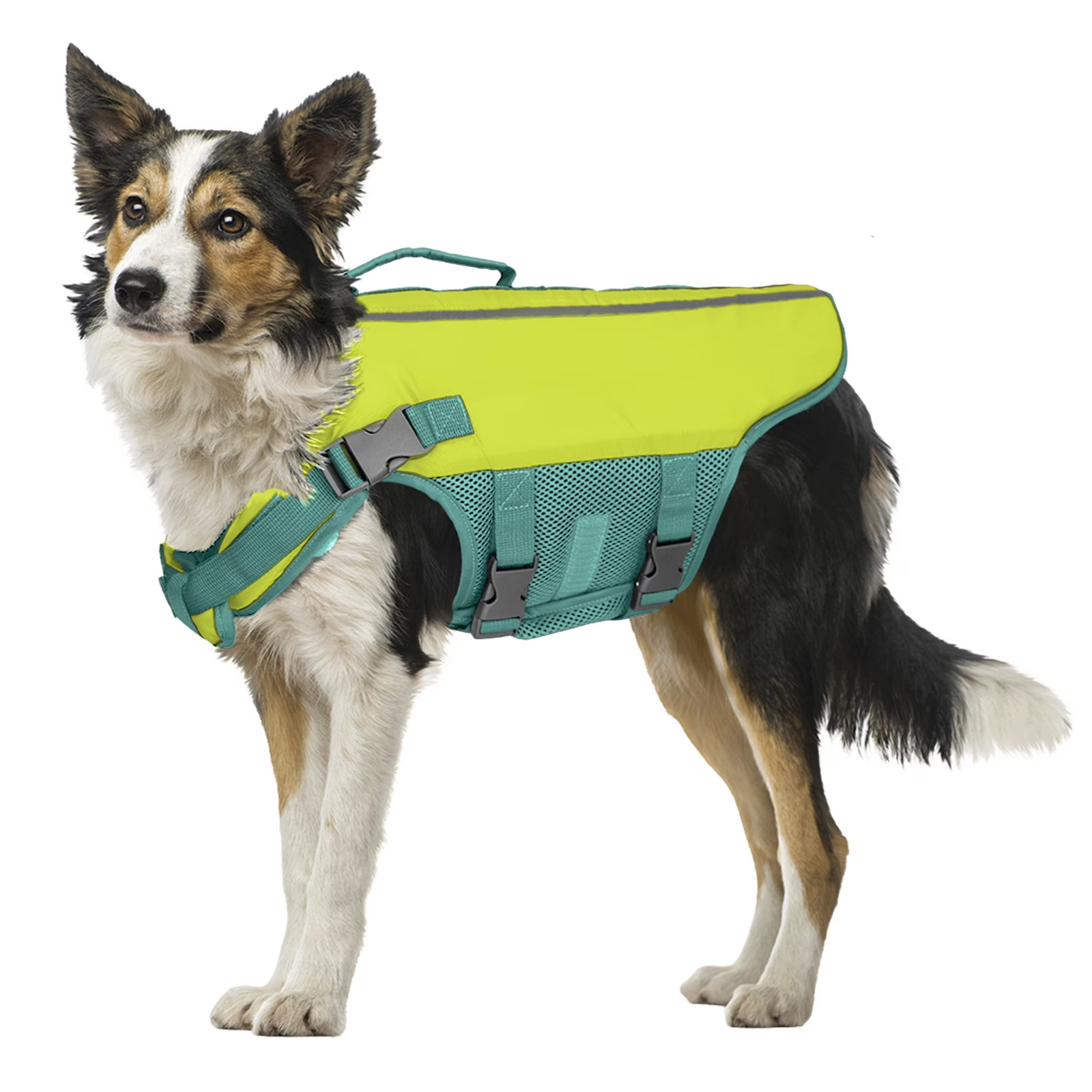 Vibrant Life Flotation Vest for Dogs, with Handle, Yellow, Medium – New
