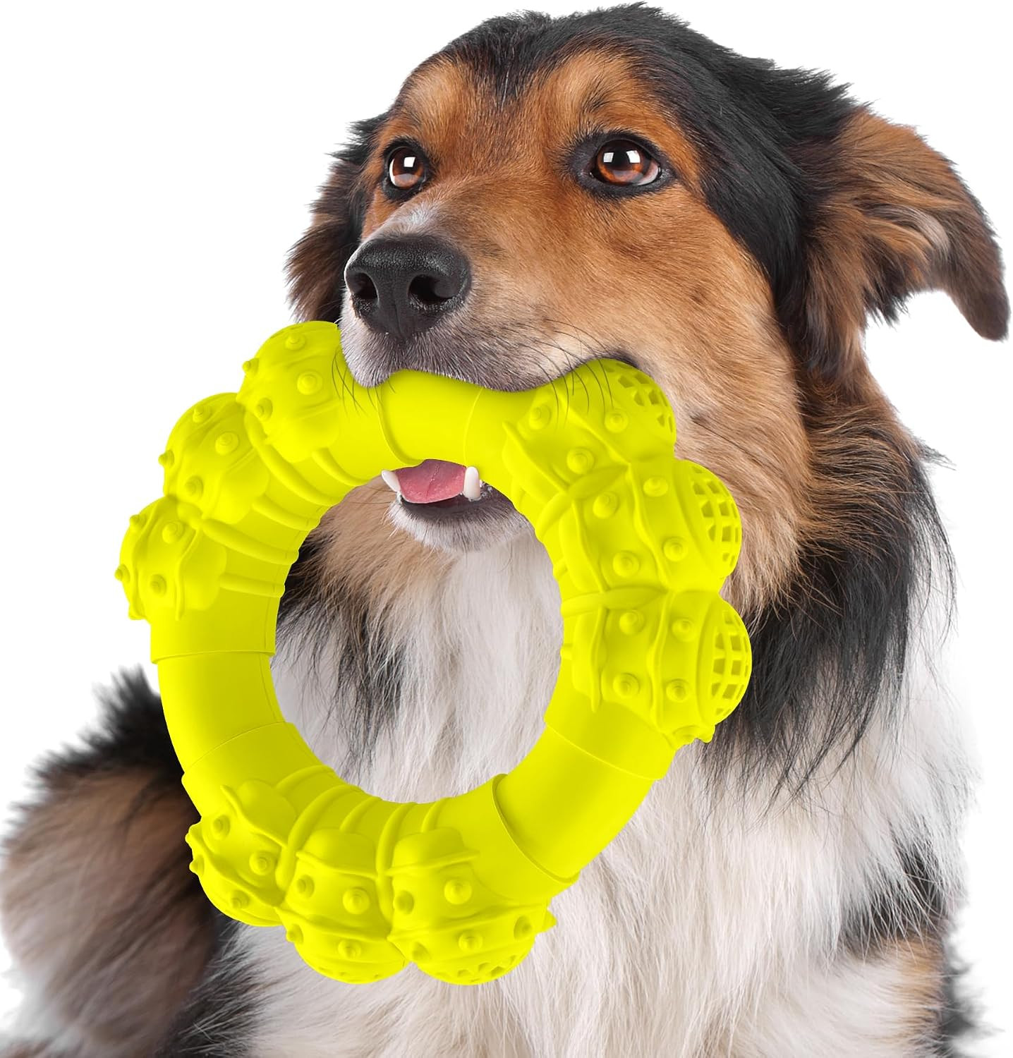 Indestructible Dog Chew Toys Aggressive Chewers Ring Heavy Duty Large Teething