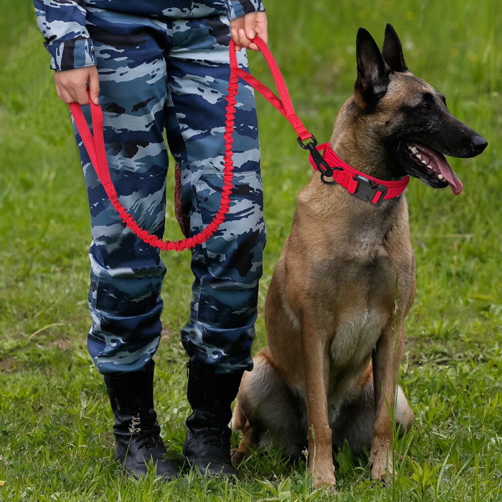 Tactical Dog Collar Military Training With Leash Heavy Duty Metal Buckle M L XL