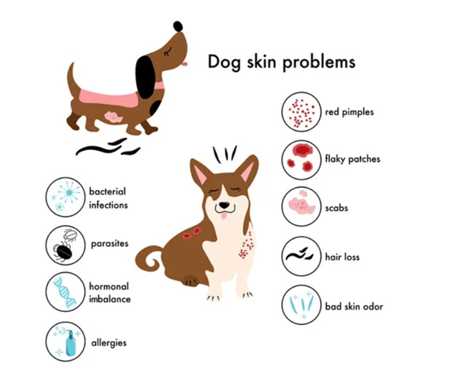 IRRITATION DE LA PIEL CREMA FOR PARA PERROS Y (4 Oz- Made in USA)