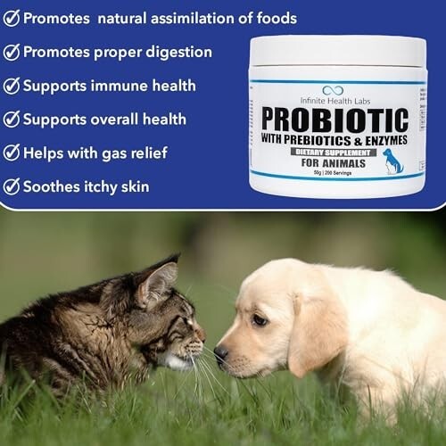 Probiotic, Prebiotic, Digestive Enzyme Powder for Dogs – 200 Servings