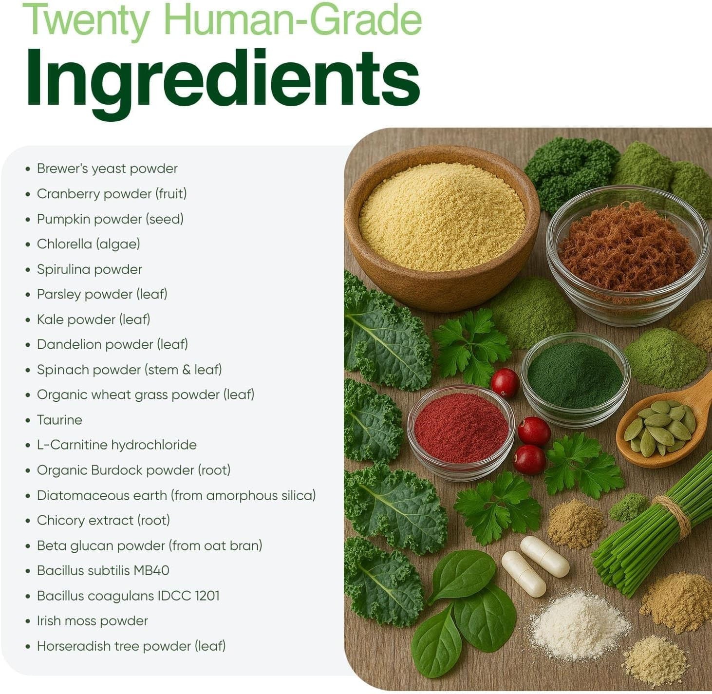 Iron Paws Human-Grade Superfood Powder for Dogs Dental Gut Joint Skin & Coat