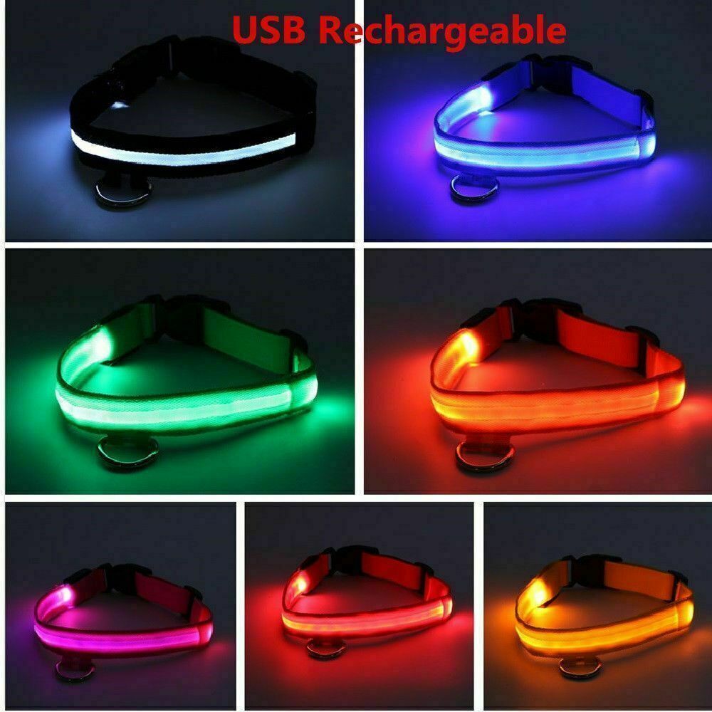 USB RECHARGEABLE LED Dog Pet Light Up Safety Collar Night Glow Adjustable HOT