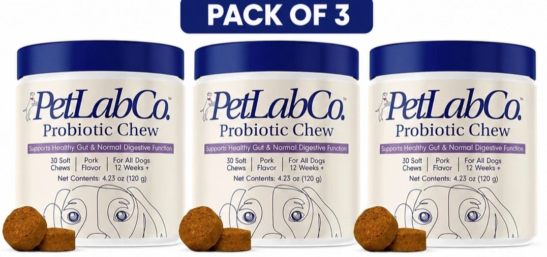 5 Pack (PetLabCo.) Supports Healthy Gut & Normal Digestive Probiotic Chew