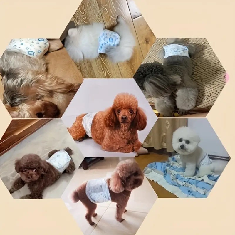 60 ct Disposable Male Dog Wraps, Diapers, Tight, Absorption & Comfort, All Sizes