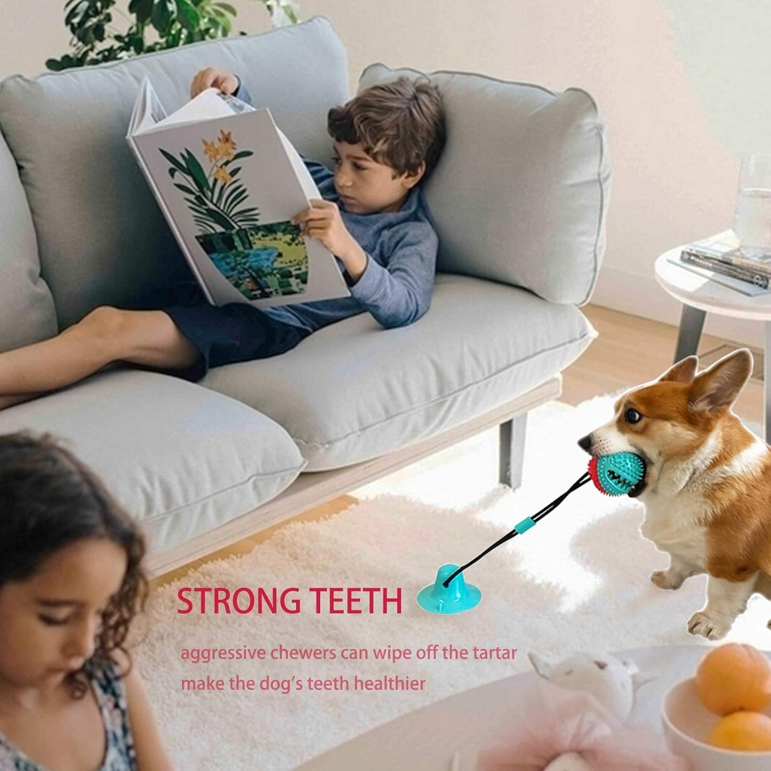 Dog Toys Dog Chew Toys for Aggressive chewers Puppy Dog Training Treats Teeth…
