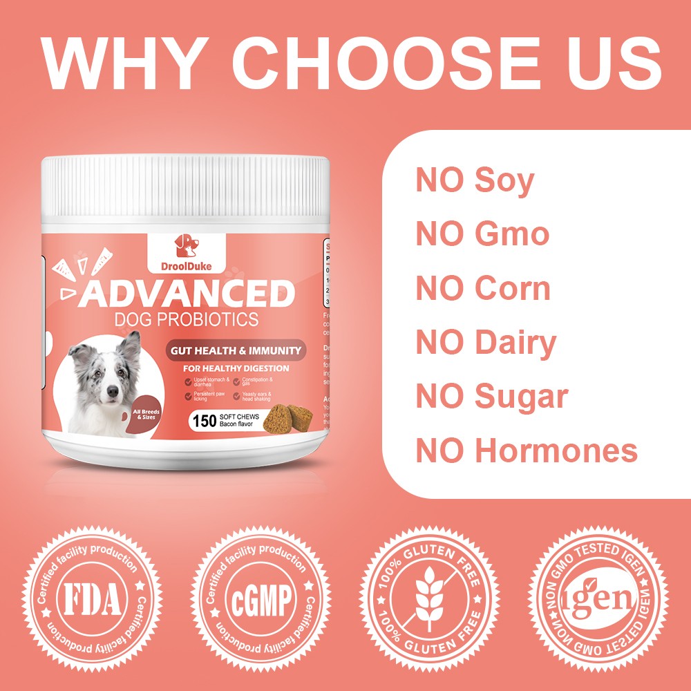 Probiotics for Dogs Soft Chews for Seasonal Allergies, Gut, and Digestive Health