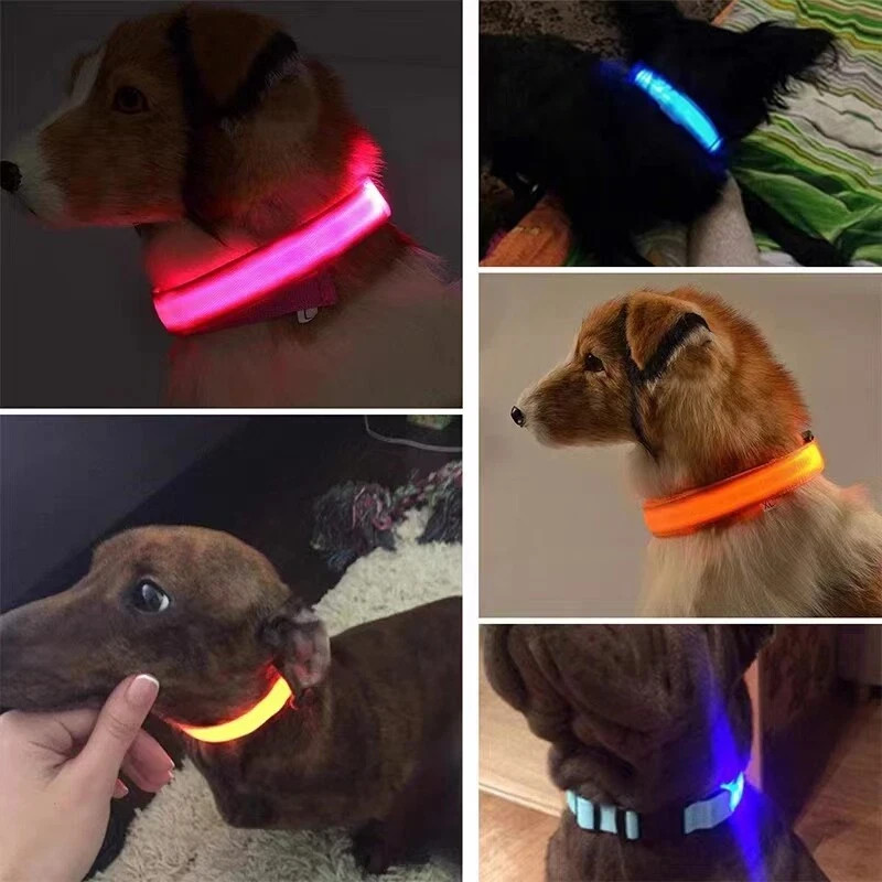 LED Dog Collar Flashing Light Up Glow Adjustable Pet Safety Collar Night USA