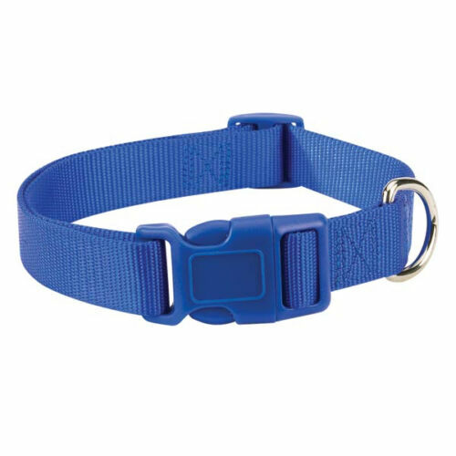 Casual Canine Nylon Dog Collar w Quick Release Buckle XS S M L 11 Colors