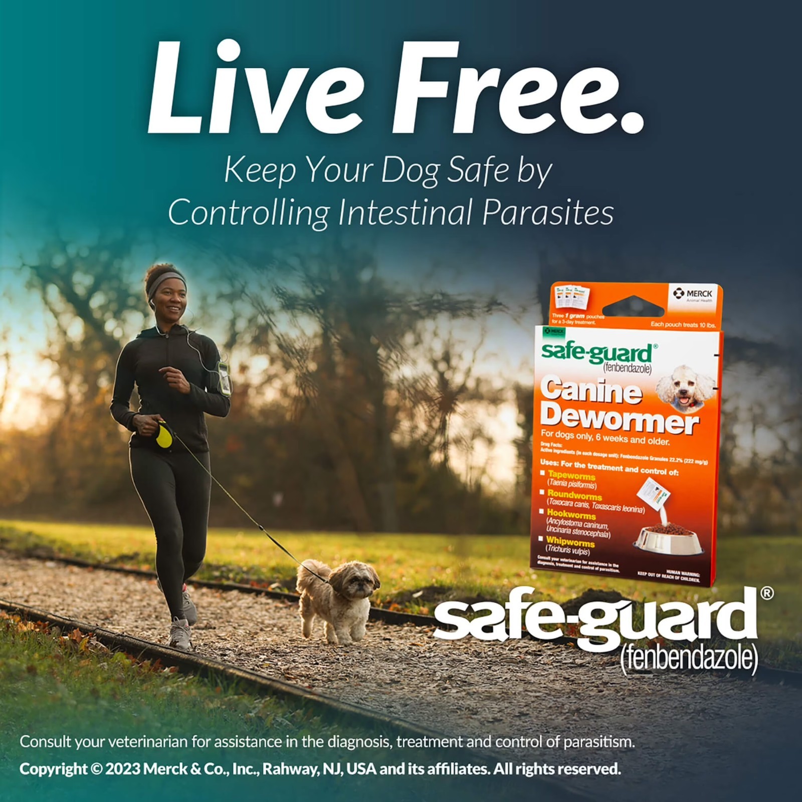Safe-Guard Panacur Canine Dewormers K9 Dogs 40 lbs 4gm 3-Pack