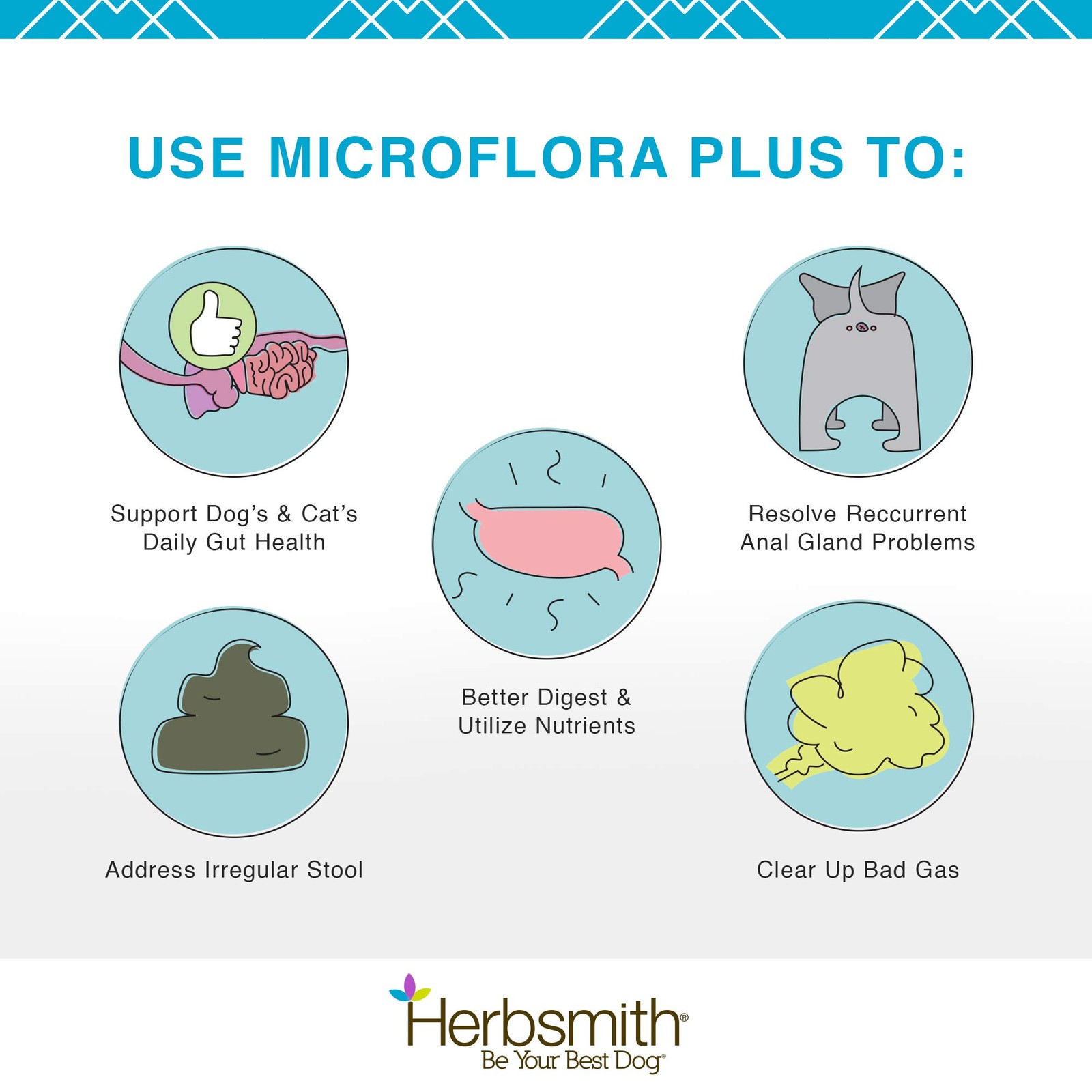 Herbsmith Microflora Plus – Dog Digestion Aid –Probiotics and Digestive Enzy…