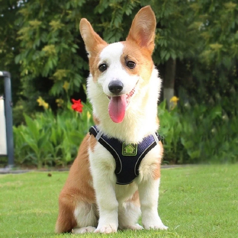 No Pull Dog Pet Harness Adjustable Control Vest Dogs Reflective XS S M Large XL
