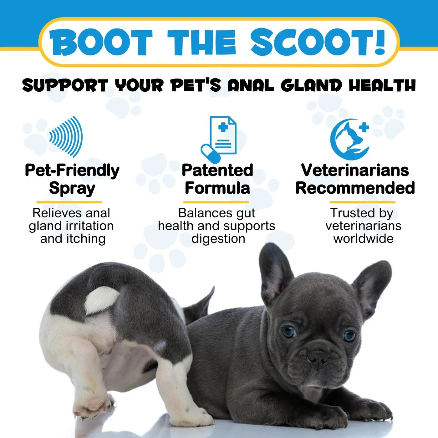 Dog Anal Gland Fast Pain Relieves & Soothes Itching, Anti-Itch Spray for Dogs