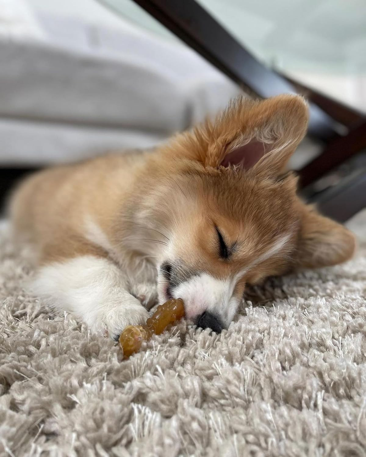 Ring Bone Chew Toy for Puppies, Puppy Teething Toys, Puppy Enrichment Toys, Chic