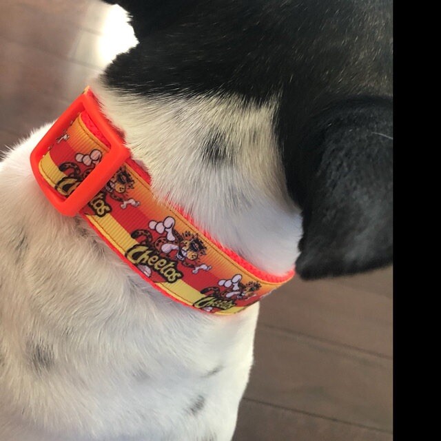 Toy Story dog collar handmade adjustable buckle collar 1″ wide or leash