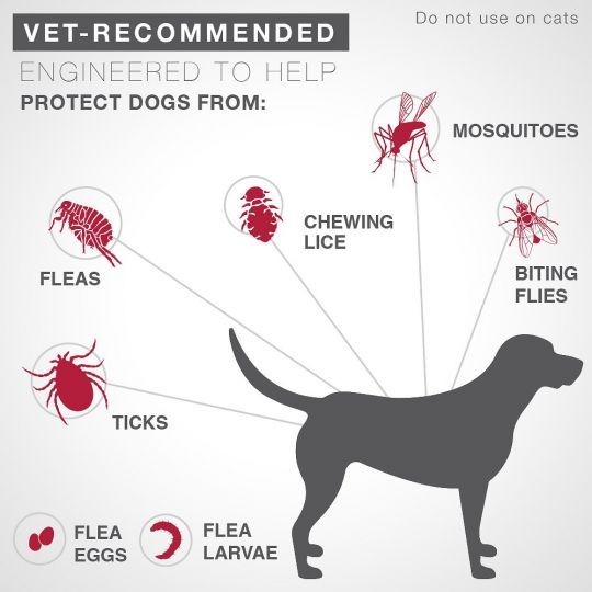 K9 Advantix II Flea and Tick Control Treatment for Extra Large Dogs 6M Doses