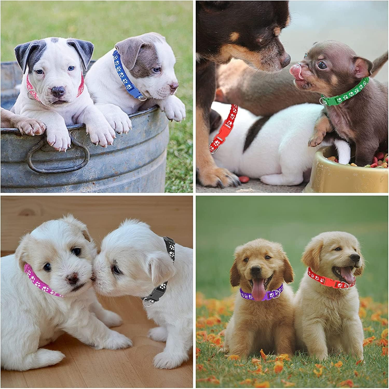 12 Pack Puppy Collars for Litter, Adjustable Puppy ID Collars Soft Nylon Whelpin