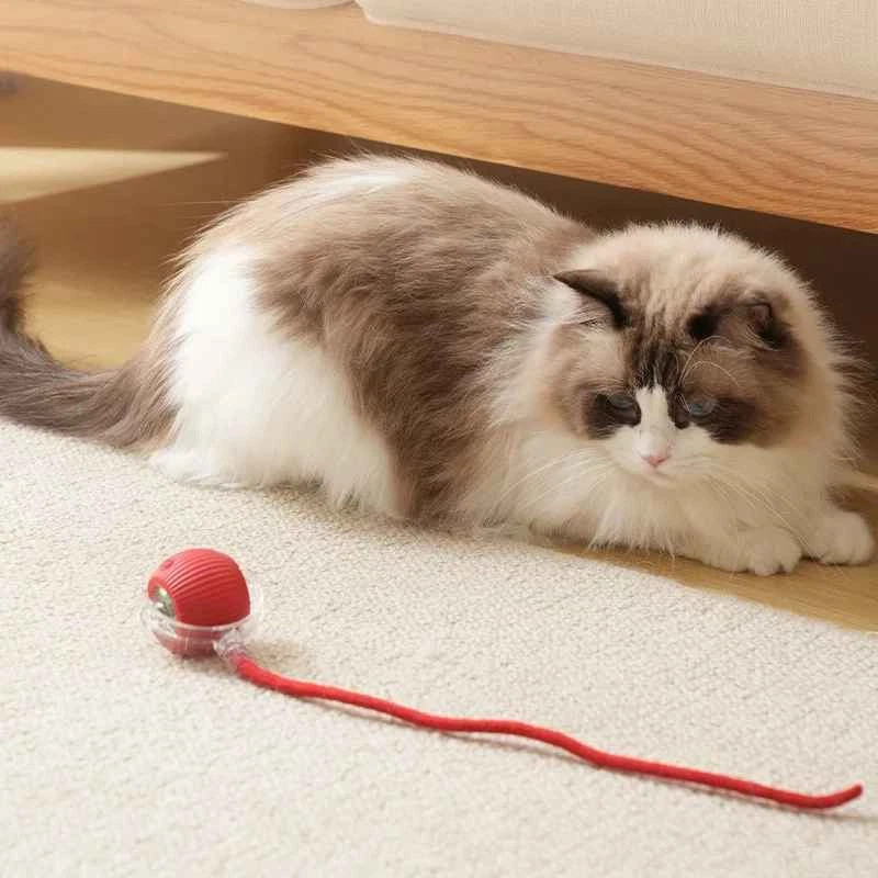 Automatic Rolling Ball Smart Cat Dog Toy Electric Pet Self-moving Kitten lot