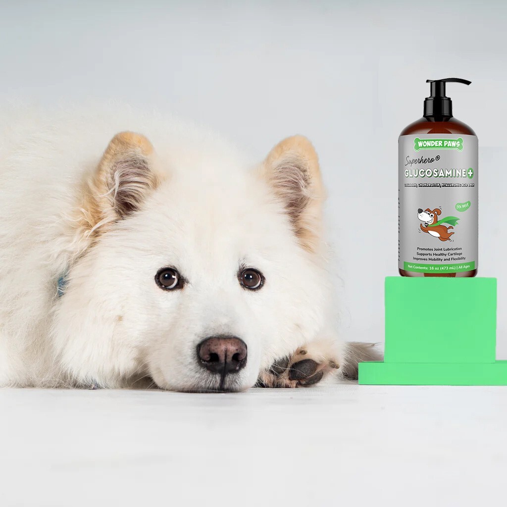 Premium Liquid Glucosamine for Dogs – All Ages (16 oz)