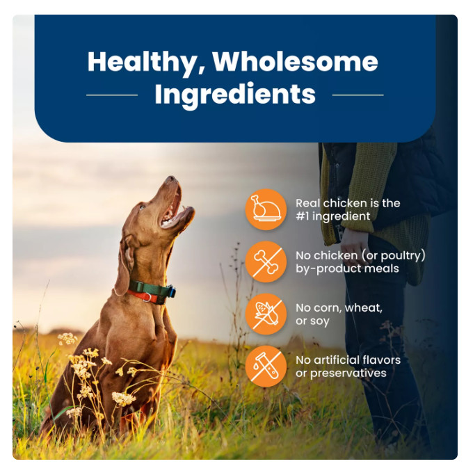 Blue Buffalo Life Protection Large Breed Adult Dog Food Chicken Brown Rice 30 lb