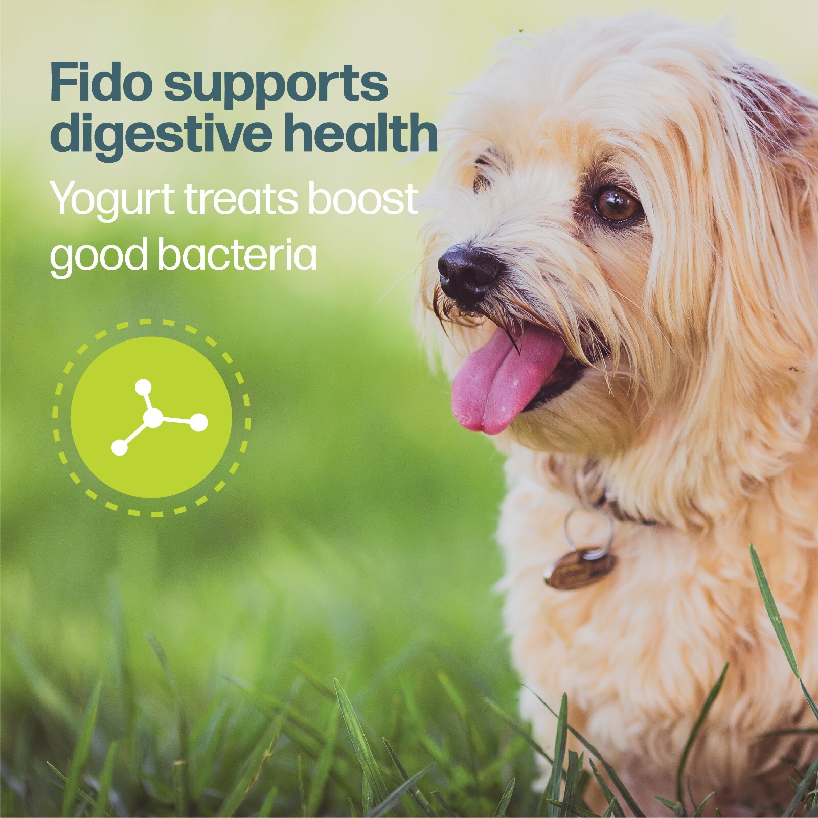 Fido Belly Bones Mini Bulk Bag (100 Count)